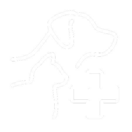 Anesthesia Consent Form