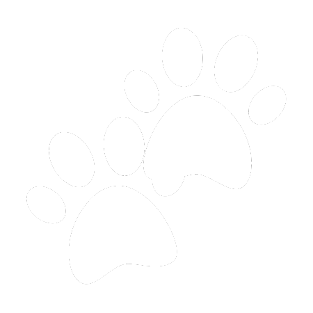 Euthanasia Consent Form