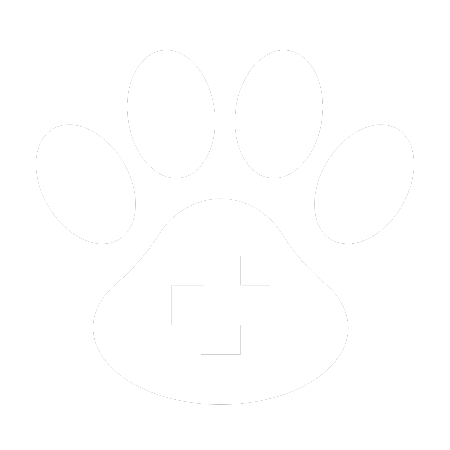 Veterinary Amputation